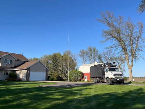 Tree-Removal-Sioux-Falls-SD-7 (1)