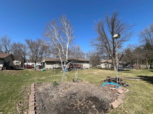 Tree-Removal-Sioux-Falls-SD