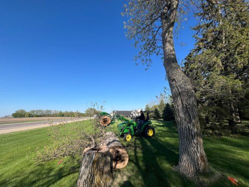 Tree-Removal-Sioux-Falls (1)
