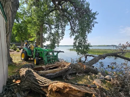 Tree-Removal-Spicer-MN-9-26-26-1