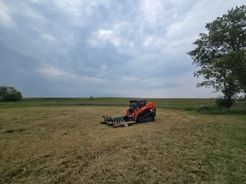 Tree-Removal-Spicer-MN-9-26-26-2