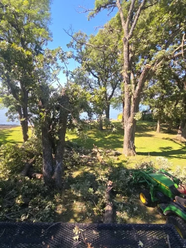 Tree-Removal-Spicer-MN-9-26-26-7