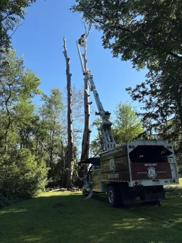 Tree-Removal-Spicer-MN-9-26-26-9