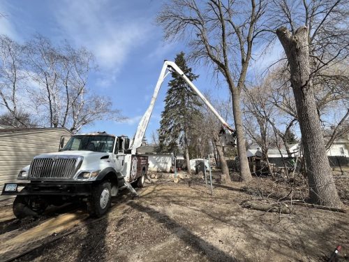 Tree-Removal-Willmar-MN-2