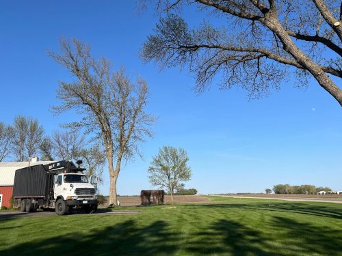 Tree-Service-Clara-City-MN (1)