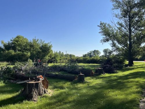 Tree-Service-Sioux-Falls-SD-10