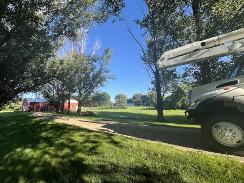 Tree-Service-Sioux-Falls-SD-11