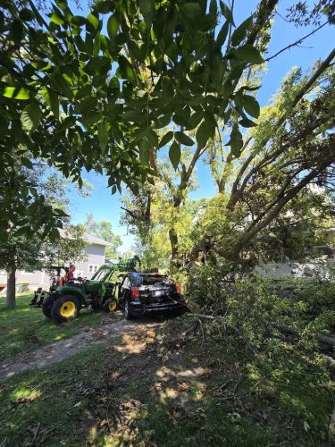 Tree-Service-Sioux-Falls-SD-12