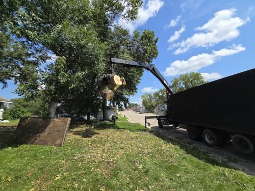Tree-Service-Sioux-Falls-SD-13