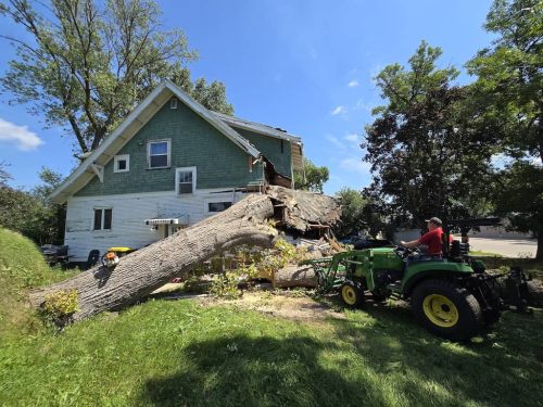 Tree-Service-Sioux-Falls-SD-14