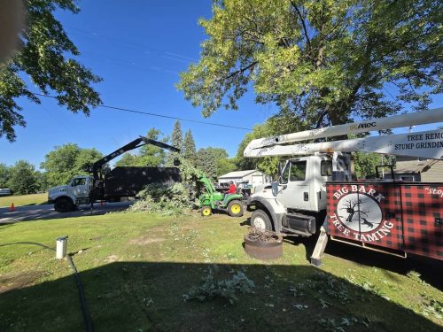 Tree-Service-Sioux-Falls-SD-3