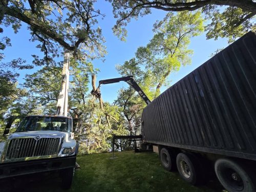 Tree-Service-Sioux-Falls-SD-6