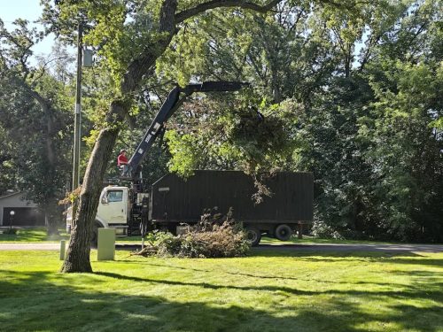 Tree-Service-Sioux-Falls-SD-8