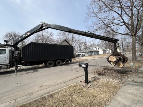 Tree-Service-Willmar-MN-3