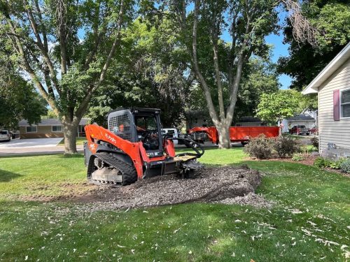 Tree-Service-Willmar-MN-4
