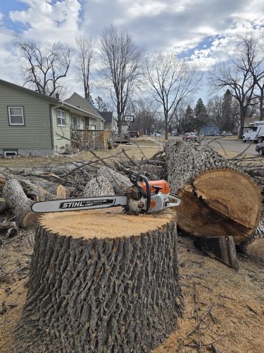 Tree-Services-Sioux-Falls-SD-290