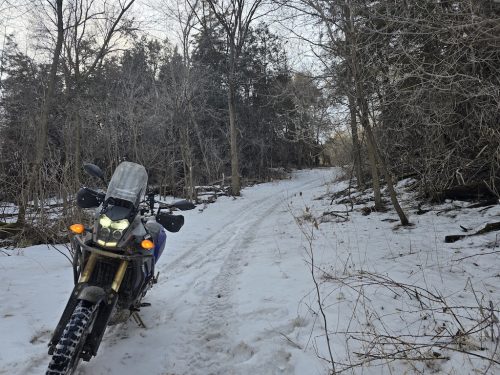 Tree-Services-Sioux-Falls-SD-293