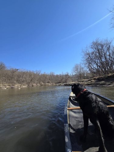 Tree-Services-Spicer-MN-303