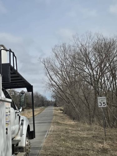 Tree-Services-Spicer-MN-304