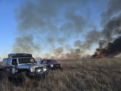 Tree-Services-Spicer-MN-306