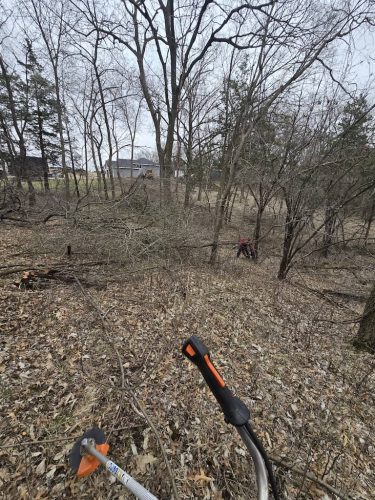 Tree-Services-Spicer-MN-308