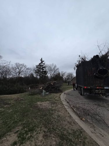 Tree-Services-Spicer-MN-309