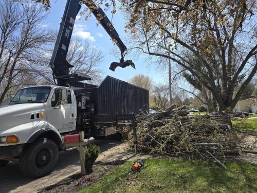 Tree-Services-Spicer-MN-314