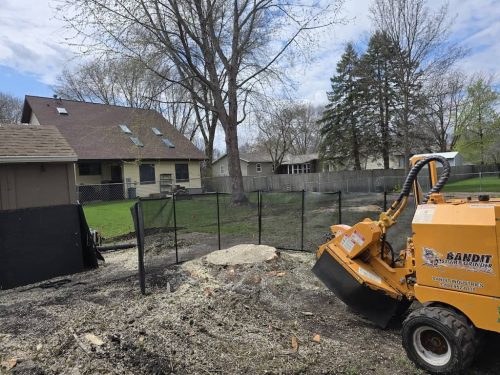 Tree-Services-Spicer-MN-315