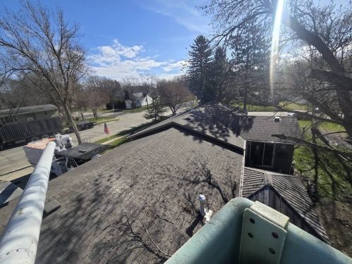 Tree-Services-Spicer-MN-318