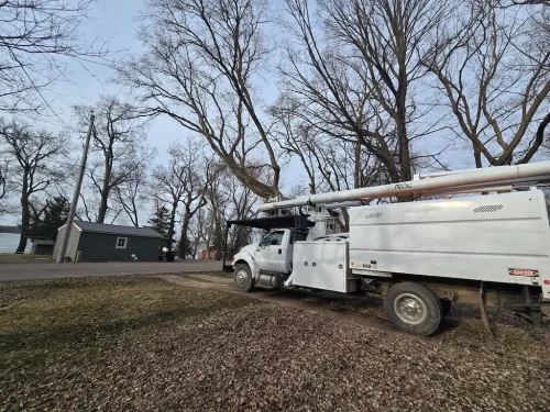 Tree-Services-Spicer-MN-4-13-26-001