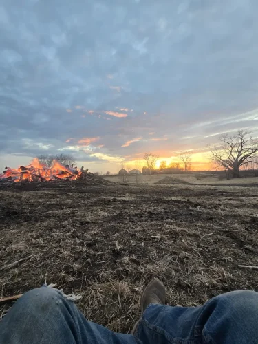 Tree-Services-Spicer-MN-4-13-26-002