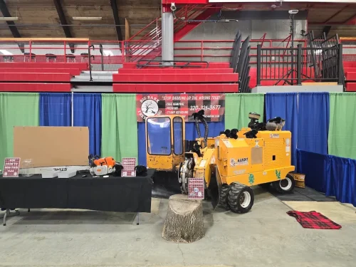 Tree-Services-Spicer-MN-4-13-26-006