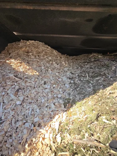 Tree-Services-Spicer-MN-4-13-26-007