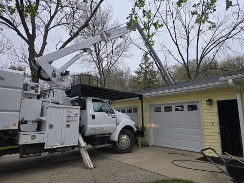 Tree-Services-Spicer-MN-5.14.26-1