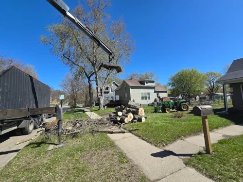 Tree-Services-Spicer-MN-5.14.26-2