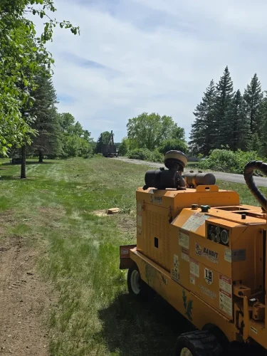 Tree-Services-Spicer-MN-6-15-26-002