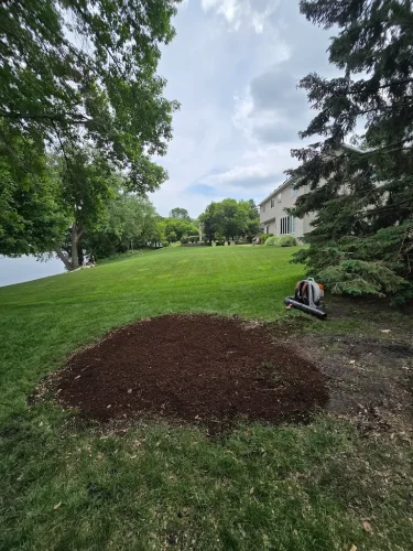 Tree-Services-Spicer-MN-6-15-26-004