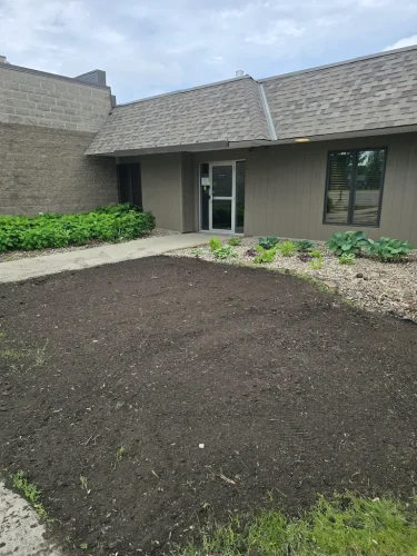 Tree-Services-Spicer-MN-6-15-26-006