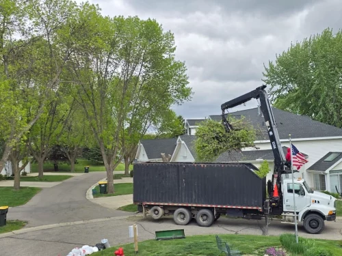 Tree-Services-Spicer-MN-6.2.26-2