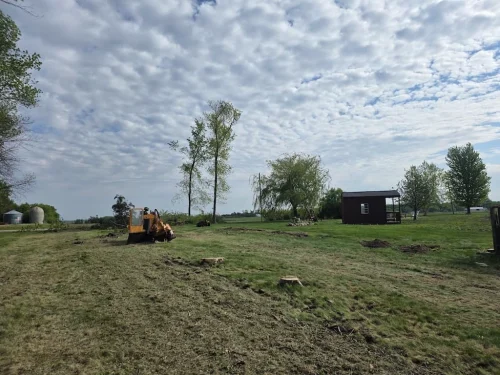 Tree-Services-Spicer-MN-6.2.26-4