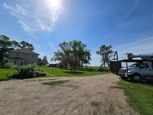 Tree-Services-Spicer-MN-6.2.26-7