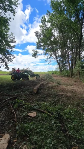 Tree-Services-Spicer-MN-7-1-26-006