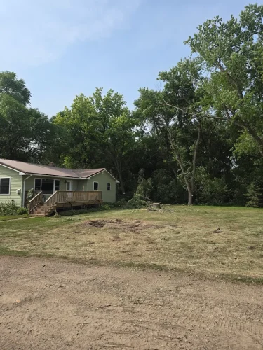 Tree-Services-Spicer-MN-8-31-26-5