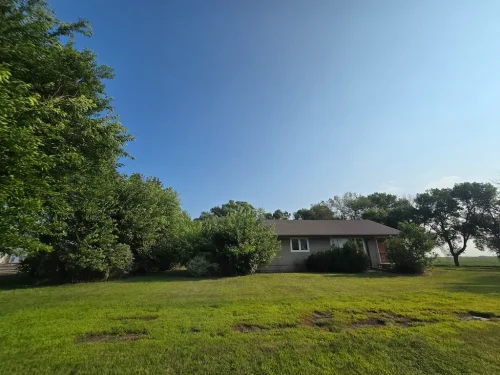 Tree-Services-Spicer-MN-8-31-26-6