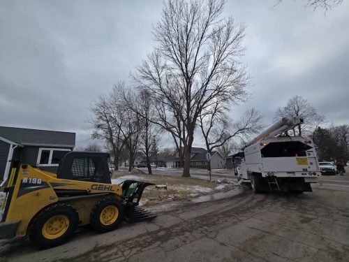 tree-services-sioux-falls-sd-285