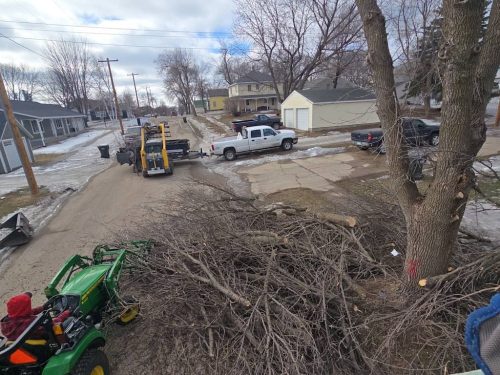 tree-services-sioux-falls-sd-286