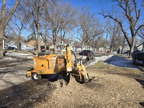 tree-services-sioux-falls-sd-288