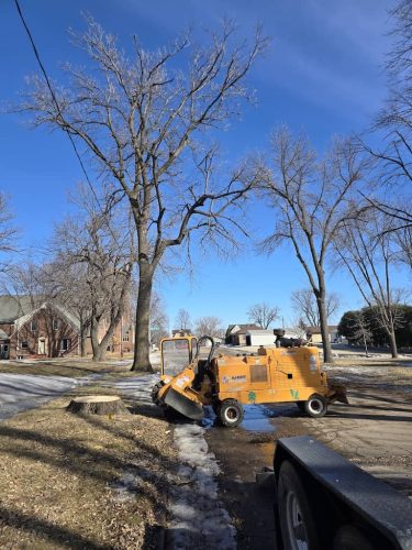 tree-services-sioux-falls-sd-289