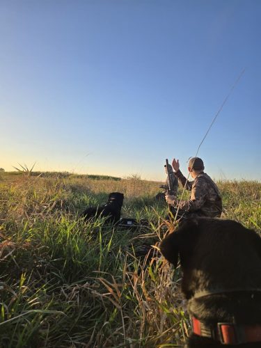 tree-services-willmar-mn-gallery-20250927 075201 (1)