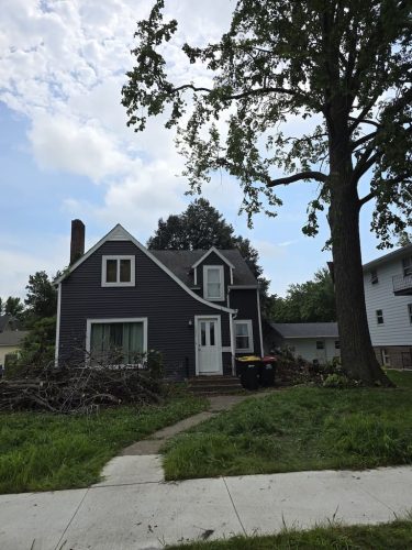 tree-services-willmar-mn-gallery-22644955400103139 (1)